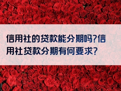 信用社的贷款能分期吗？信用社贷款分期有何要求？