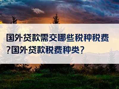 国外贷款需交哪些税种税费？国外贷款税费种类？