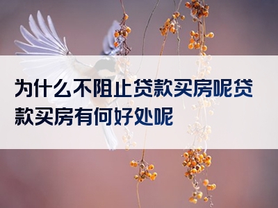 为什么不阻止贷款买房呢贷款买房有何好处呢