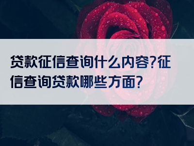 贷款征信查询什么内容？征信查询贷款哪些方面？