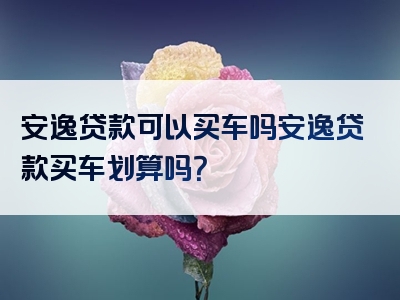 安逸贷款可以买车吗安逸贷款买车划算吗？