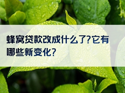 蜂窝贷款改成什么了？它有哪些新变化？