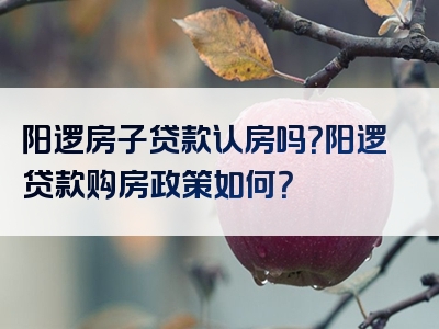 阳逻房子贷款认房吗？阳逻贷款购房政策如何？