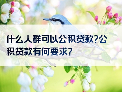 什么人群可以公积贷款？公积贷款有何要求？