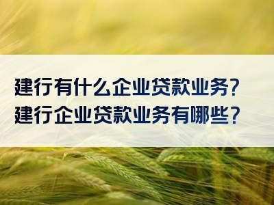 建行有什么企业贷款业务？建行企业贷款业务有哪些？