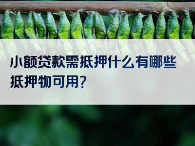 小额贷款需抵押什么有哪些抵押物可用？