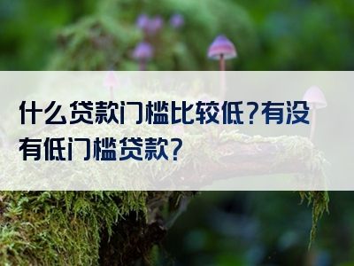 什么贷款门槛比较低？有没有低门槛贷款？