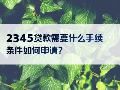 2345贷款需要什么手续条件如何申请？