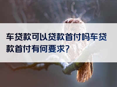 车贷款可以贷款首付吗车贷款首付有何要求？