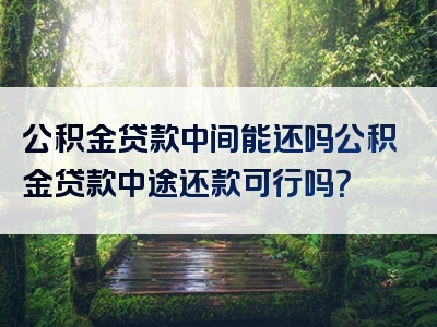 公积金贷款中间能还吗公积金贷款中途还款可行吗？