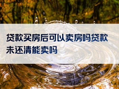 贷款买房后可以卖房吗贷款未还清能卖吗