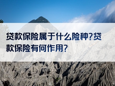 贷款保险属于什么险种？贷款保险有何作用？