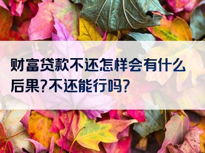 财富贷款不还怎样会有什么后果？不还能行吗？