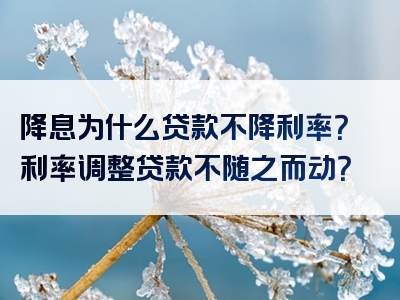 降息为什么贷款不降利率？利率调整贷款不随之而动？