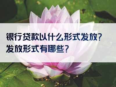 银行贷款以什么形式发放？发放形式有哪些？