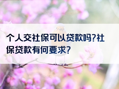 个人交社保可以贷款吗？社保贷款有何要求？