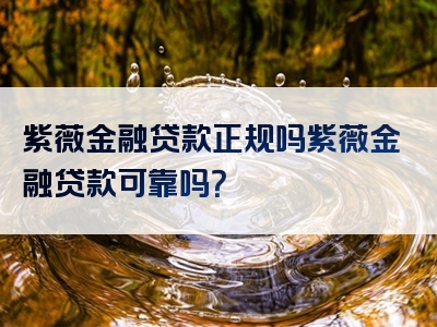 紫薇金融贷款正规吗紫薇金融贷款可靠吗？