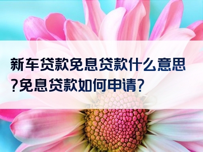 新车贷款免息贷款什么意思？免息贷款如何申请？