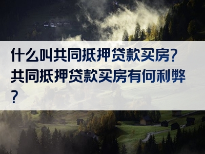 什么叫共同抵押贷款买房？共同抵押贷款买房有何利弊？