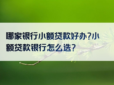 哪家银行小额贷款好办？小额贷款银行怎么选？