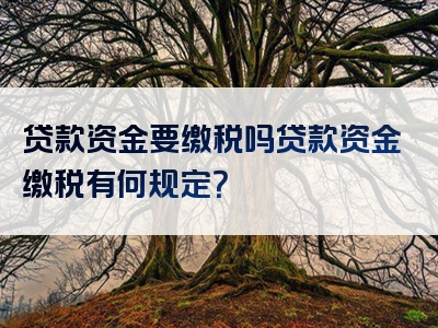 贷款资金要缴税吗贷款资金缴税有何规定？