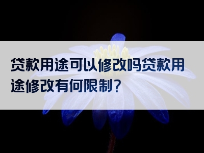 贷款用途可以修改吗贷款用途修改有何限制？