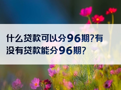 什么贷款可以分96期？有没有贷款能分96期？