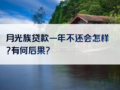 月光族贷款一年不还会怎样？有何后果？