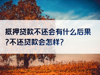 抵押贷款不还会有什么后果？不还贷款会怎样？