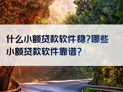 什么小额贷款软件稳？哪些小额贷款软件靠谱？