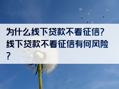 为什么线下贷款不看征信？线下贷款不看征信有何风险？