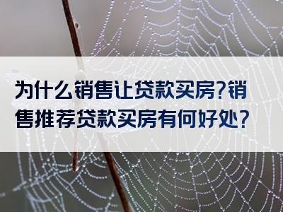 为什么销售让贷款买房？销售推荐贷款买房有何好处？