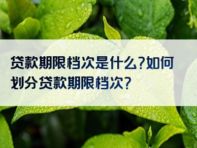 贷款期限档次是什么？如何划分贷款期限档次？