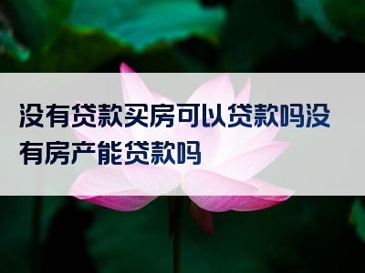 没有贷款买房可以贷款吗没有房产能贷款吗