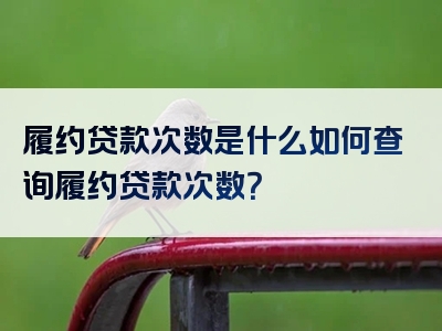 履约贷款次数是什么如何查询履约贷款次数？