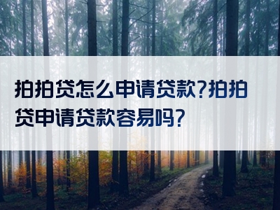 拍拍贷怎么申请贷款？拍拍贷申请贷款容易吗？