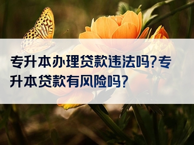 专升本办理贷款违法吗？专升本贷款有风险吗？