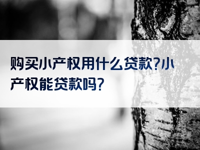 购买小产权用什么贷款？小产权能贷款吗？