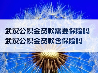 武汉公积金贷款需要保险吗武汉公积金贷款含保险吗