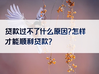 贷款过不了什么原因？怎样才能顺利贷款？