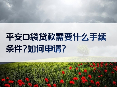 平安口袋贷款需要什么手续条件？如何申请？