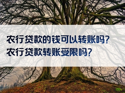 农行贷款的钱可以转账吗？农行贷款转账受限吗？