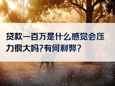 贷款一百万是什么感觉会压力很大吗？有何利弊？