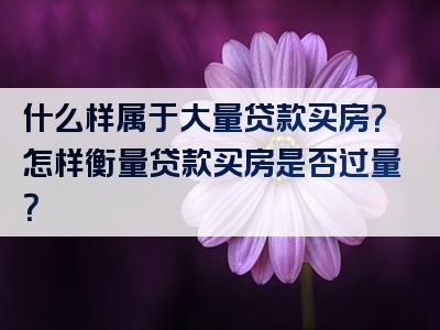 什么样属于大量贷款买房？怎样衡量贷款买房是否过量？