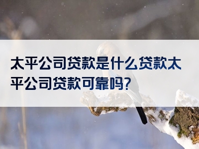 太平公司贷款是什么贷款太平公司贷款可靠吗？