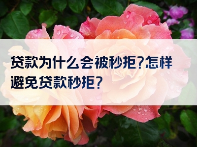 贷款为什么会被秒拒？怎样避免贷款秒拒？