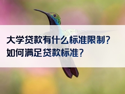 大学贷款有什么标准限制？如何满足贷款标准？