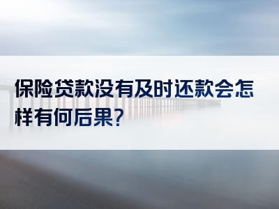 保险贷款没有及时还款会怎样有何后果？