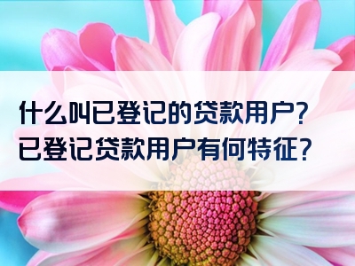 什么叫已登记的贷款用户？已登记贷款用户有何特征？