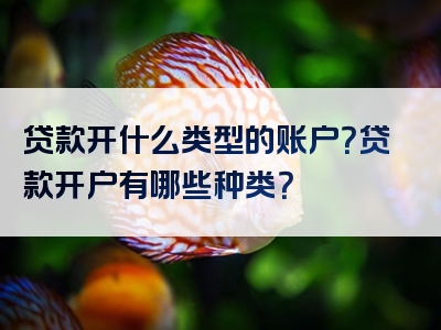 贷款开什么类型的账户？贷款开户有哪些种类？